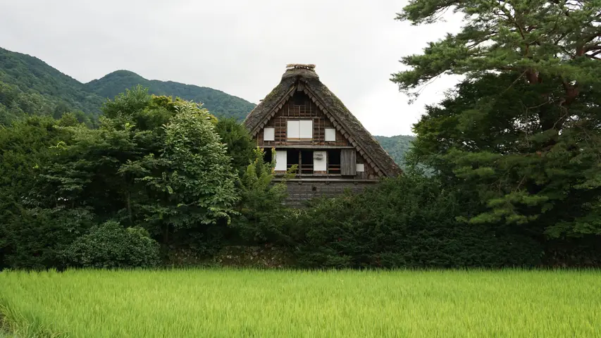 Japan August (Family) preview image