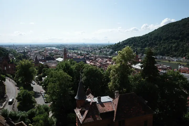 Heidelberg preview image